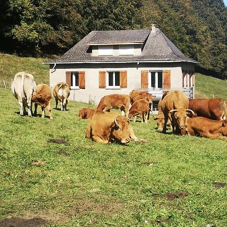 Tourmalet Villa Campan Dış mekan fotoğraf
